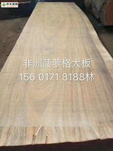 中国木材行业供应商网新闻中心 木材市场动态与未来趋势深度解读